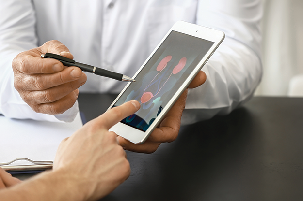 Closeup of doctor showing patient urinary system on tablet